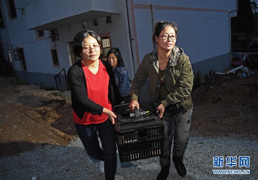 如何获取爱情岛独家论坛官方版最新下载链接图片