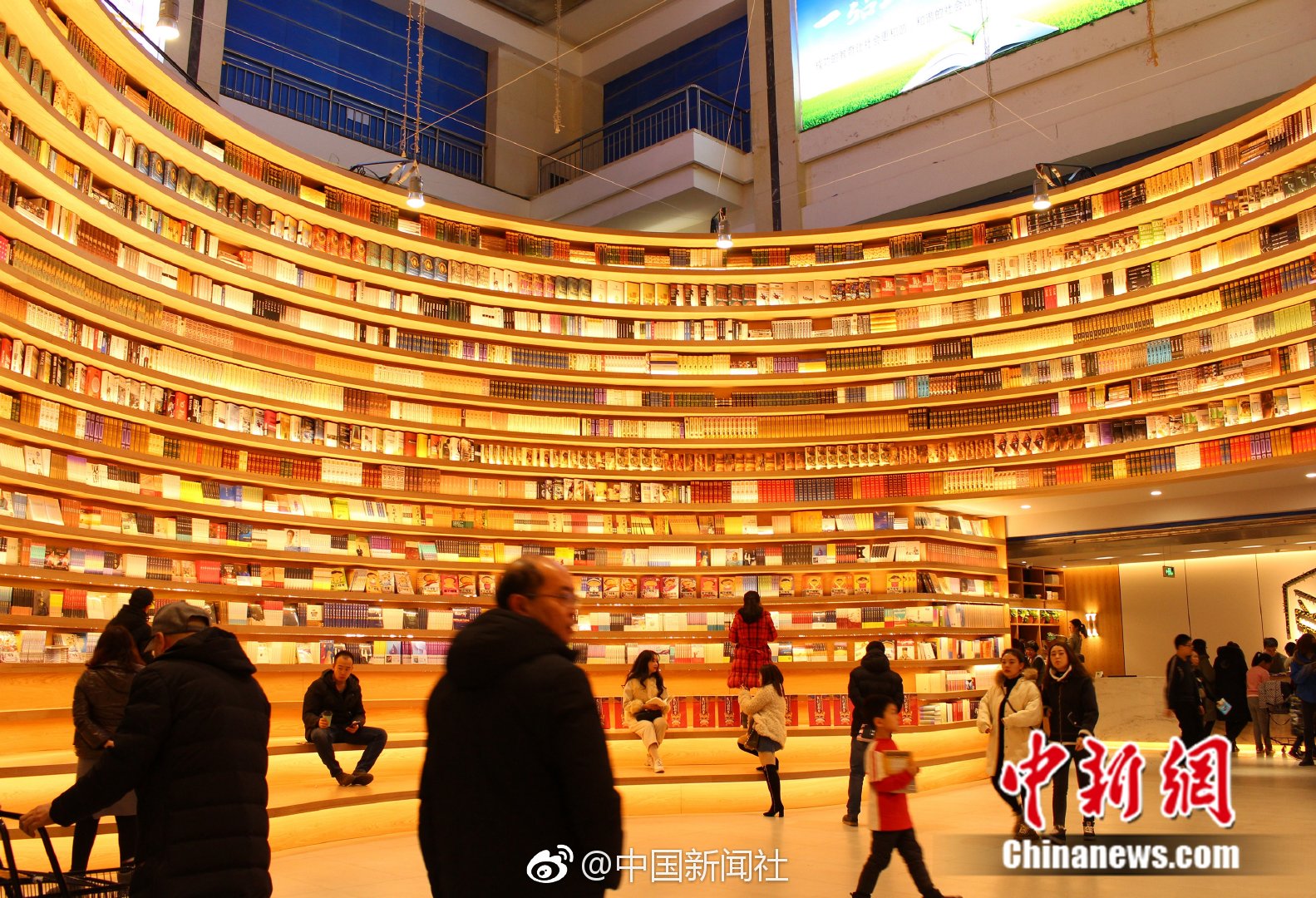 《ova向日葵在夜晚绽放》当静谧之夜点亮不灭的希望之光图片