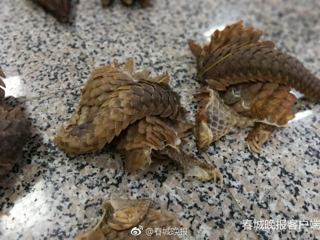 男男跪床被网站下载入口及常见问题解析图片