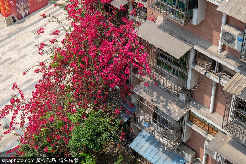 美女与帅哥一起努力生孩子,携手共创幸福,谱写爱的生命篇章...图片