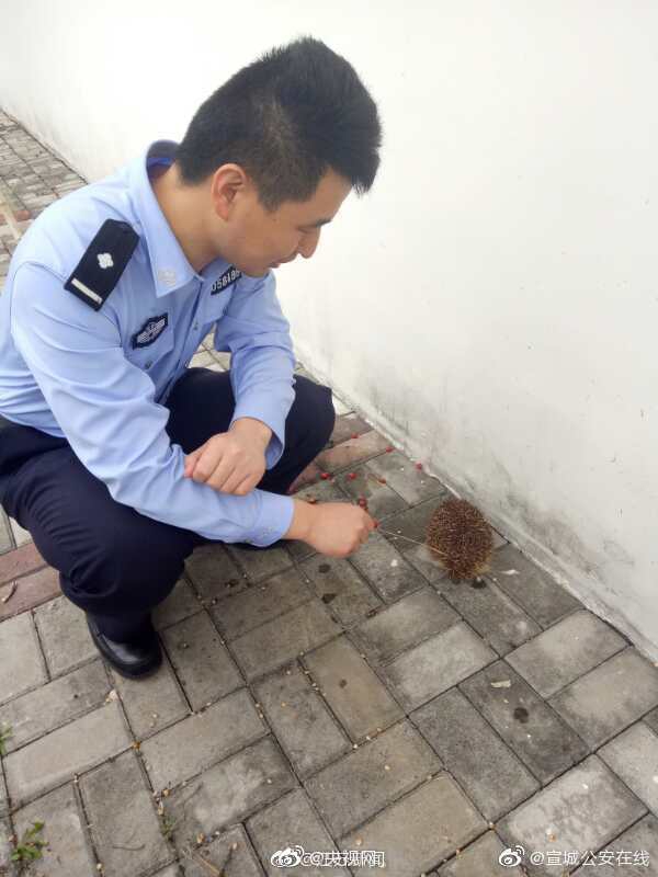 男女上下gif动态图：探索魅力与情感的无限表达图片
