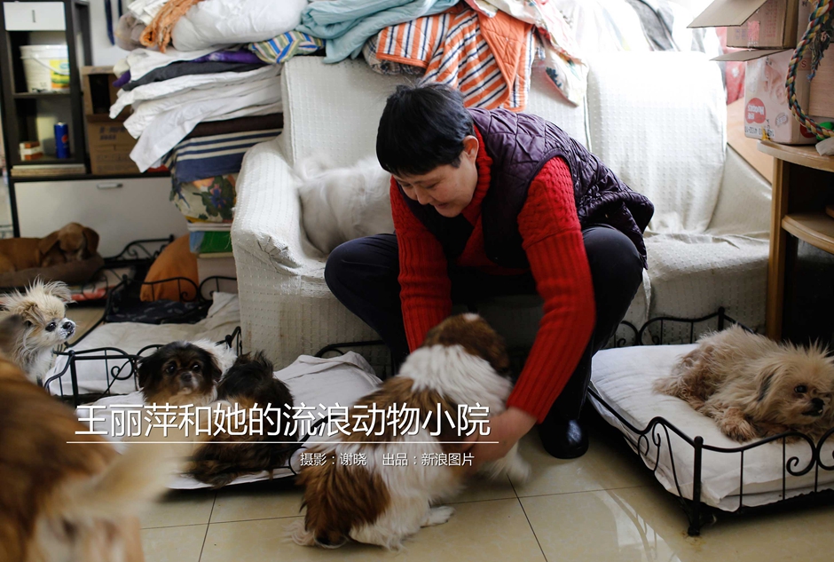纲手本子火影世界是什么意思一文看懂核心含义与关键点图片