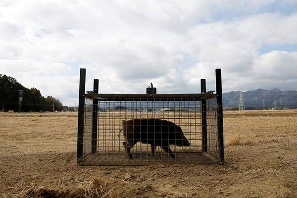实测9.1免费高清素材网站推荐官方版设计效率提升图片