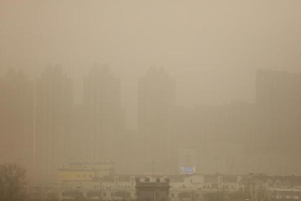 兔子先生天美影院奇遇与艺术结合图片