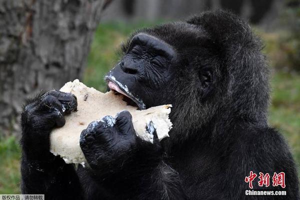 女人和公豬交内谢揭秘母猪情缘与自然崇拜的联系图片
