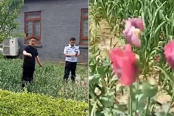 解析美女露出尿口内容的价值与注意事项图片