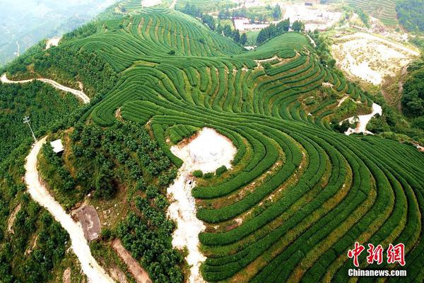 黑黄ph色官方2024色卡快速比色检测实测指南图片