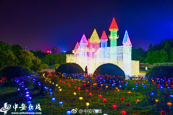 插插视频的多样玩法及用户体验分析图片