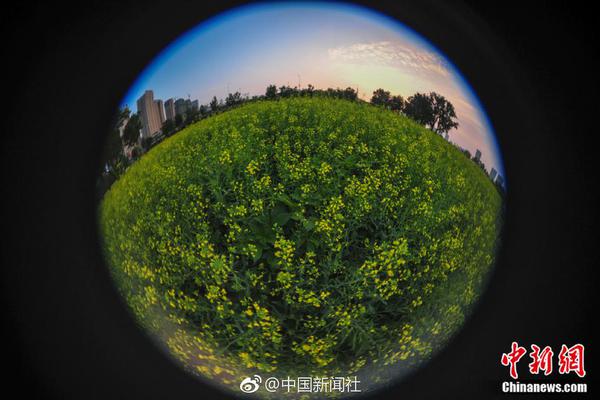 黑人系列使用指南：新手入门流程与关键注意点图片
