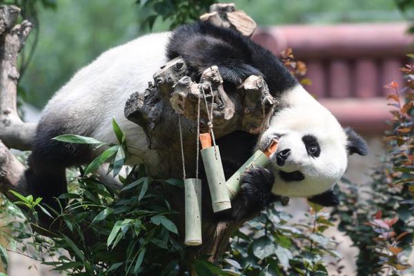 久微拍广场最新福利视频：开启你的视觉盛宴之旅图片