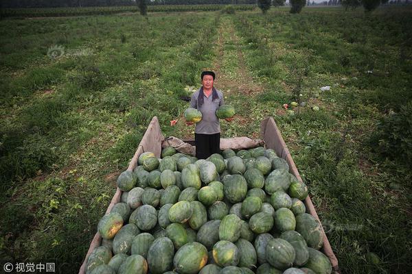 久久99视频免费观看视听内容深度观察图片