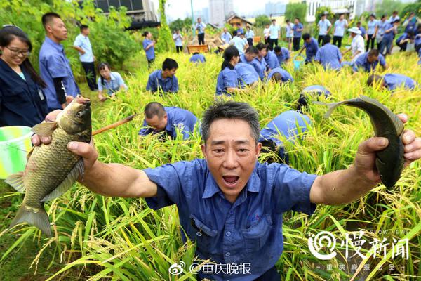 如何理解海角和小儿子小妈的背景故事与现实伦理冲突图片