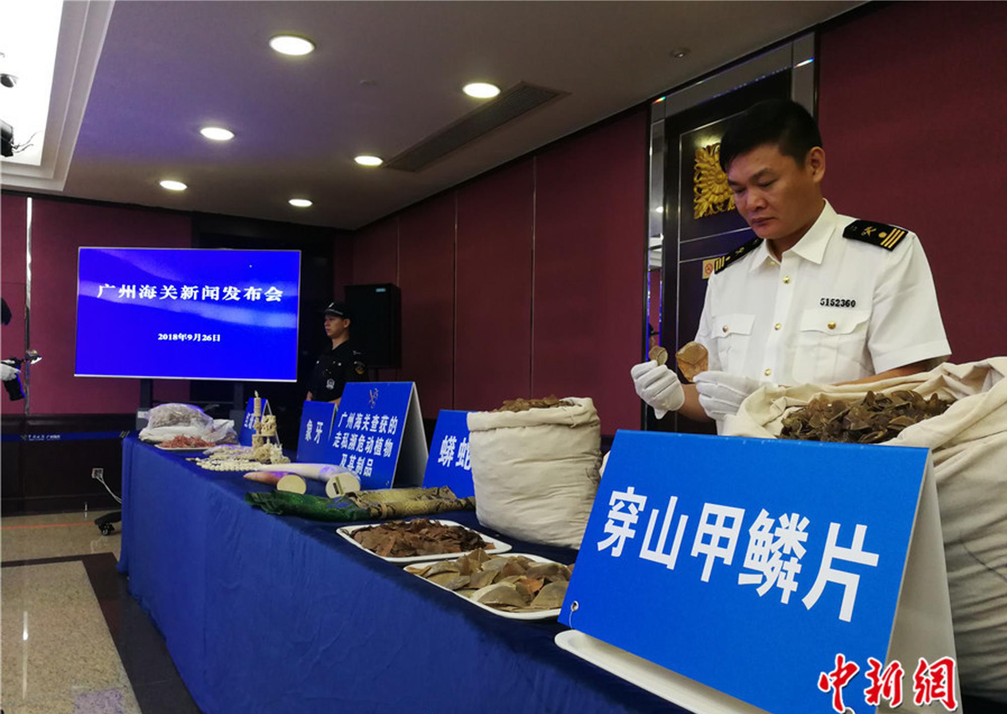 新手必看狠狠撸的价值与应用指南图片
