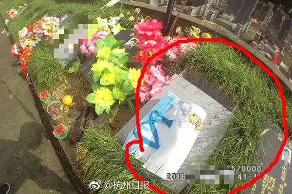糖心娜娜新剧《nana》和同类有什么区别？实用对比与选择建议图片