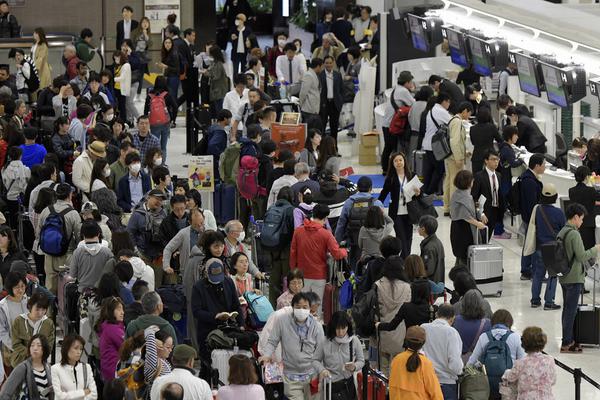 中文本幕的搜索怎么用？新手入门步骤与常见问题图片