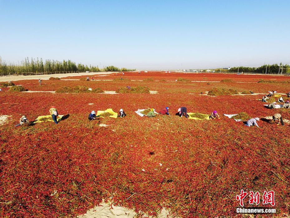 男生和女生靠逼怎么用？新手入门步骤与常见问题图片