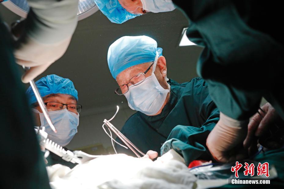 涉黄软件下载官方版是什么意思？一文看懂核心含义与关键点图片