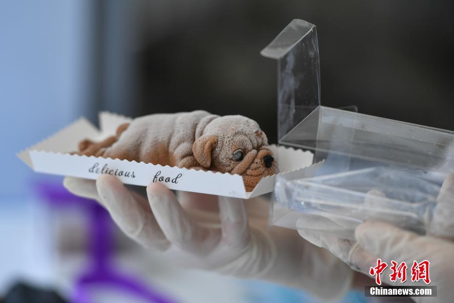 抖音国际版色板调色技巧：一键生成高饱和度色彩搭配图片