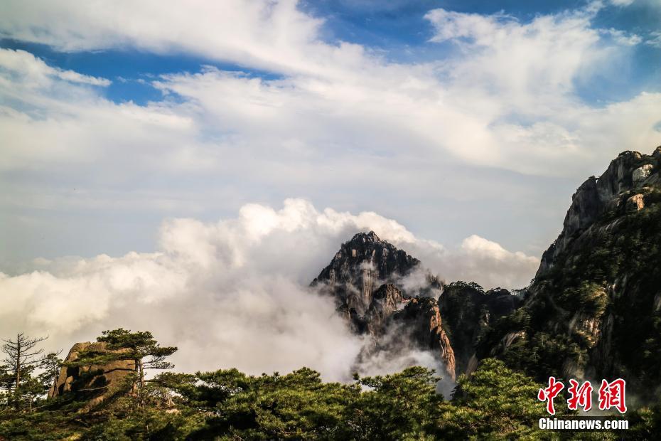 一夲道使用指南与常见问题全面梳理图片