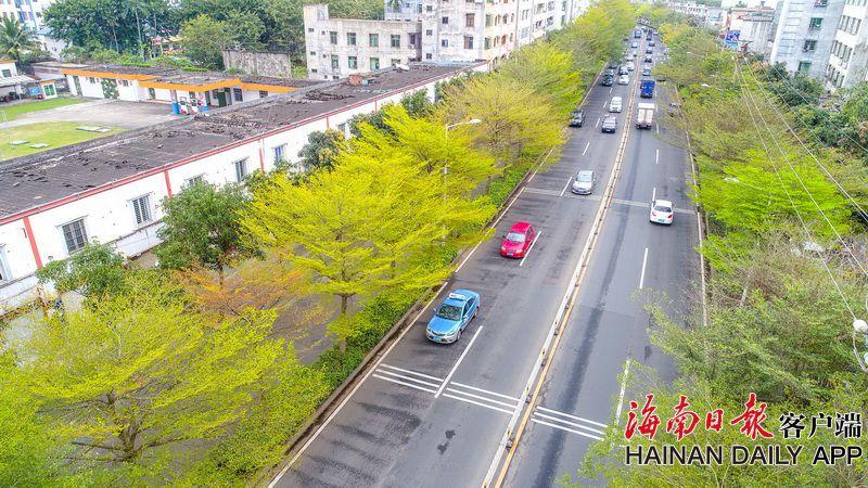 人人搞人人操：探索健康生活的新方式图片